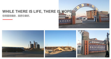 專業(yè)代理代辦服務(wù)公司簡介